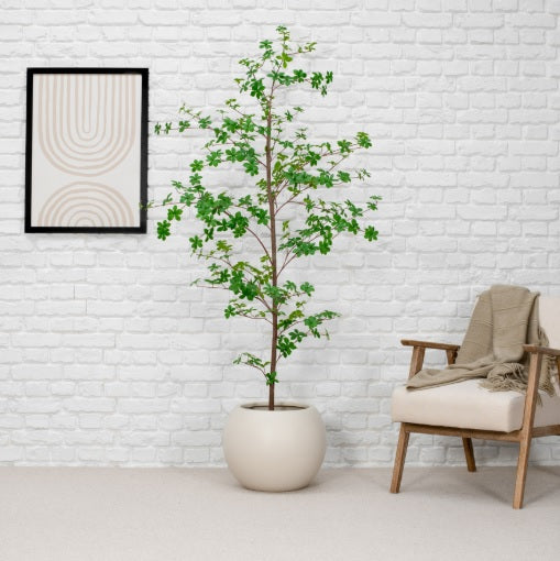 Transform Your Space with High-Quality Artificial Plants and Trees from a UK Supplier