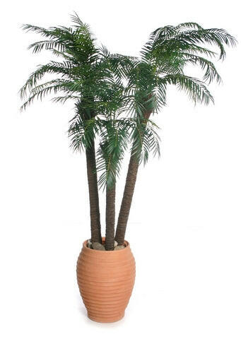 Artificial Robellini Palm Tree