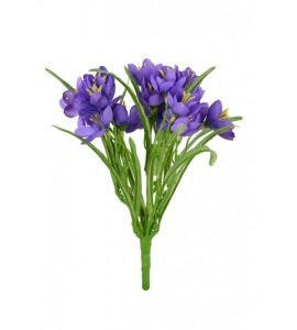 Crocus Bush