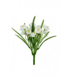 Crocus Bush