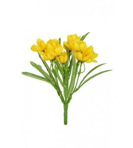 Crocus Bush