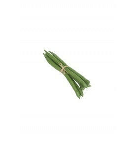 Artificial Green Bean bundle of 6pcs