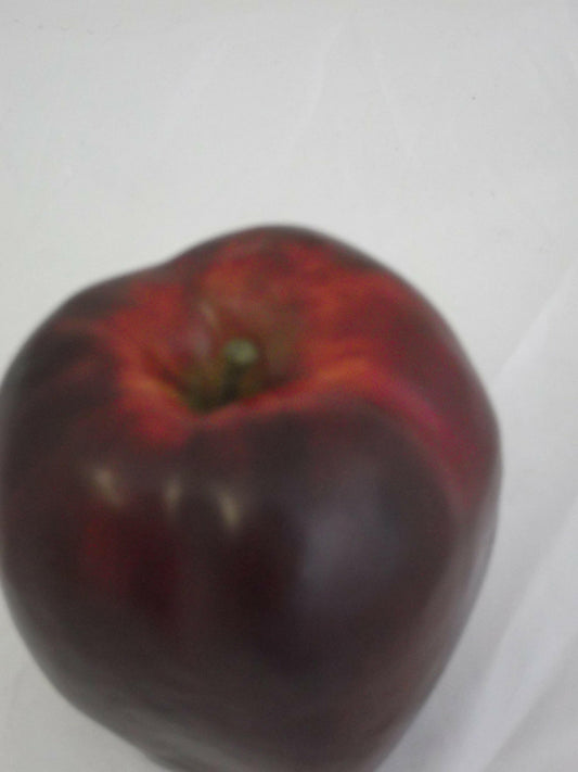 Artificial Weighted Red Delicious Apple