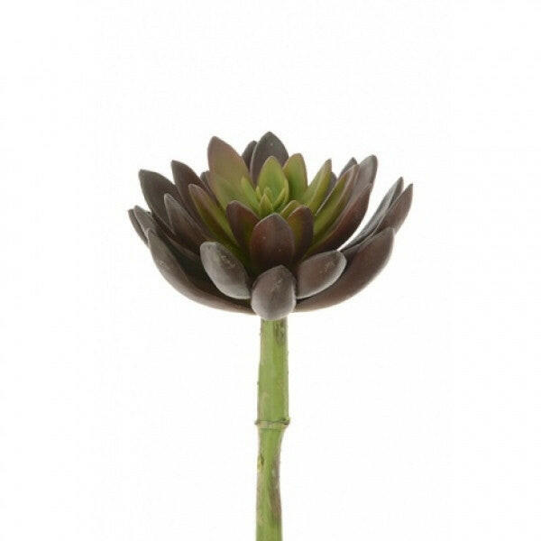 faux succulent plants uk Artificial Succulent Lotus Pick – Artificial Plants & Trees Co (UK)
