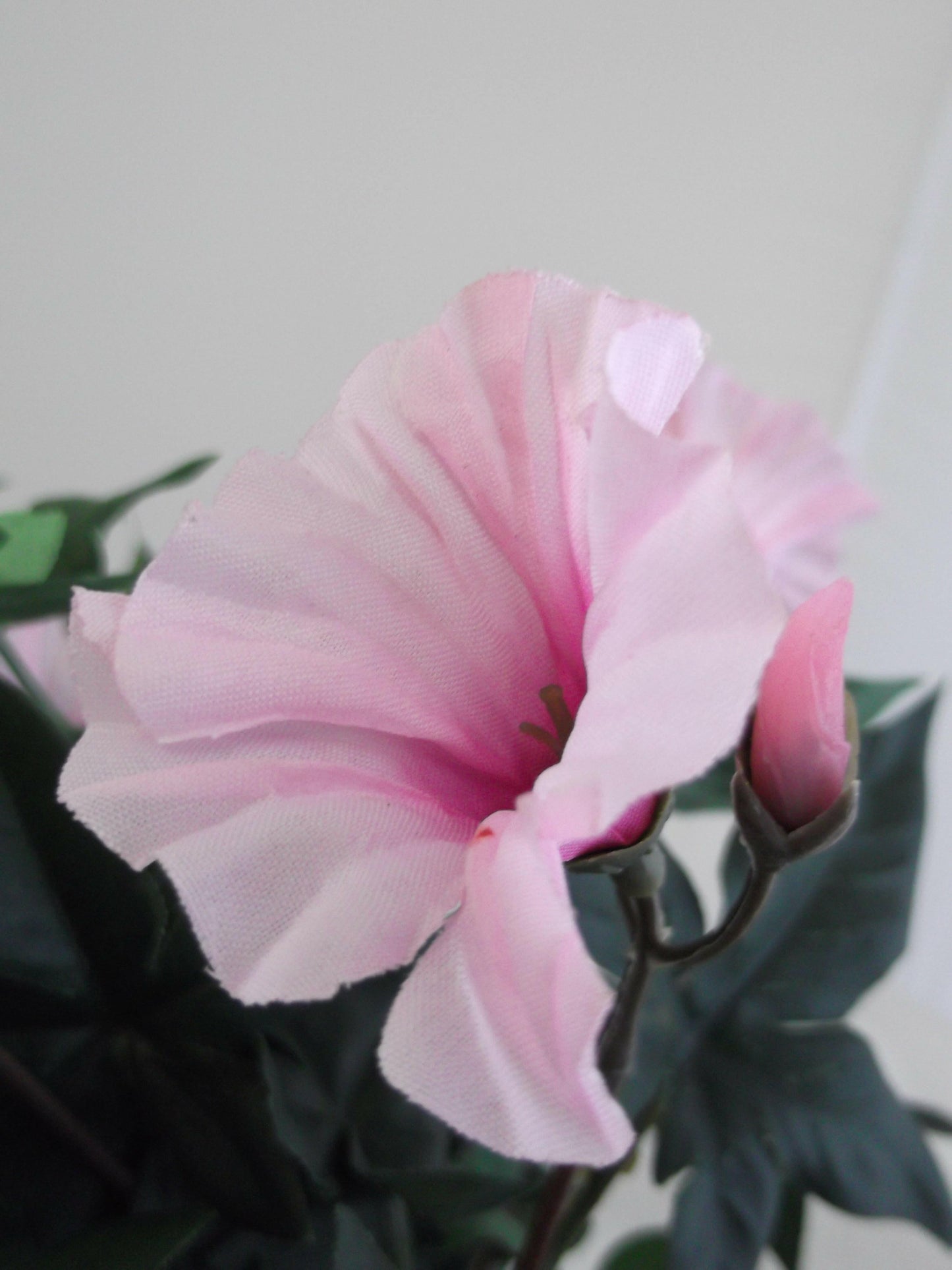 Artificial Silk Trailing Morning Glory