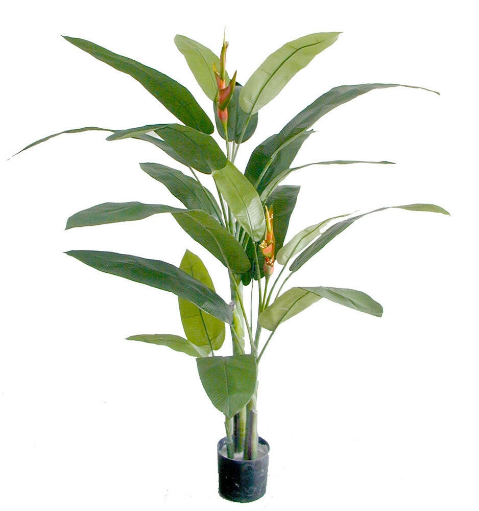 Artificial Silk Heliconia Palm Tree FR