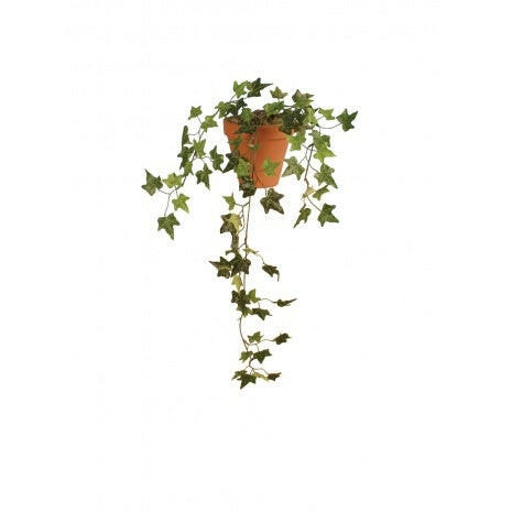 Artificial Silk Needlepoint Ivy Vine Trail FR