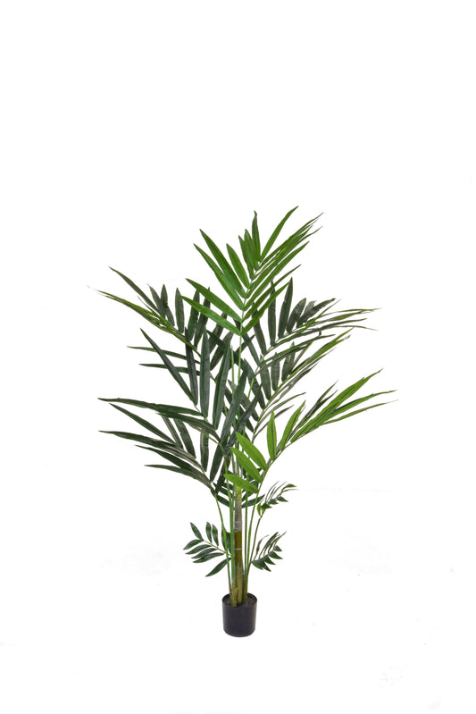 Artificial Silk Kentia Palm FR