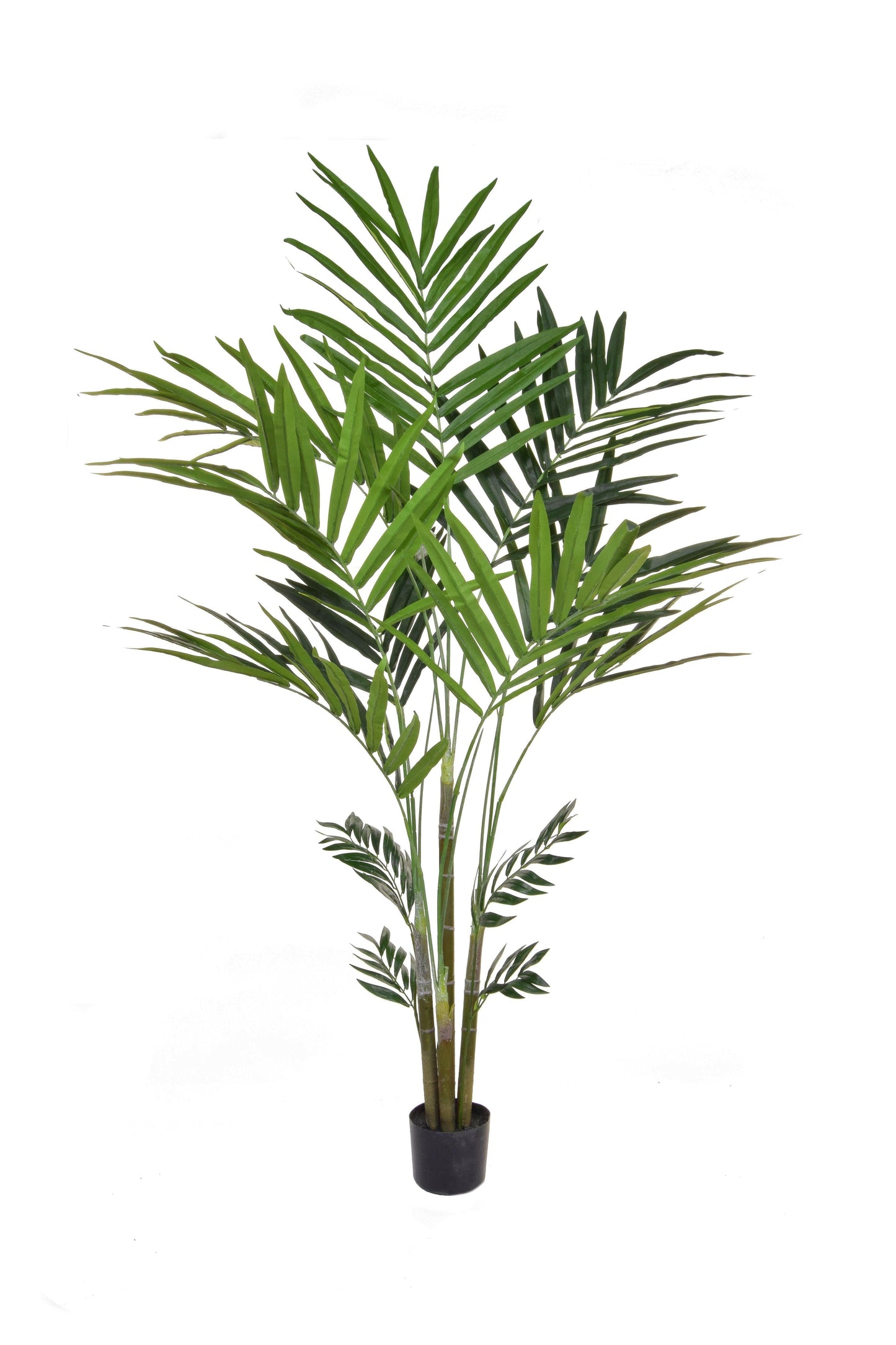 Artificial Silk Kentia Palm FR