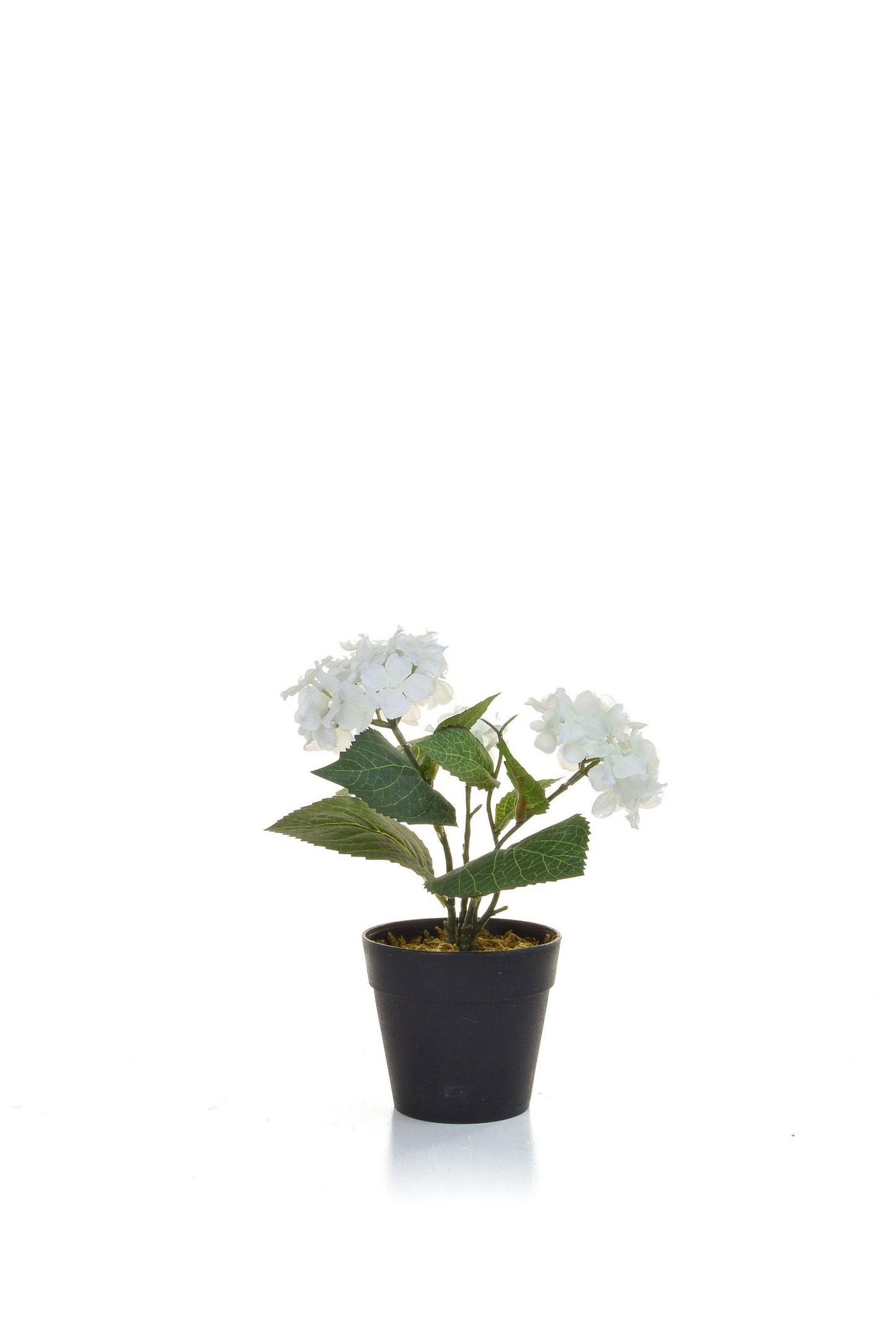 Artificial Silk Hydrangea in Black Pot