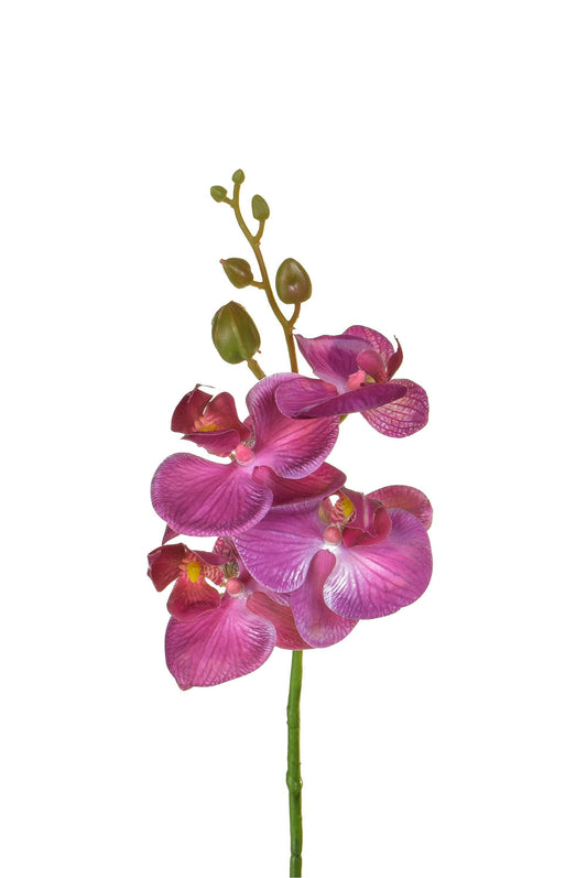Artificial Silk Phalaenopsis, Small