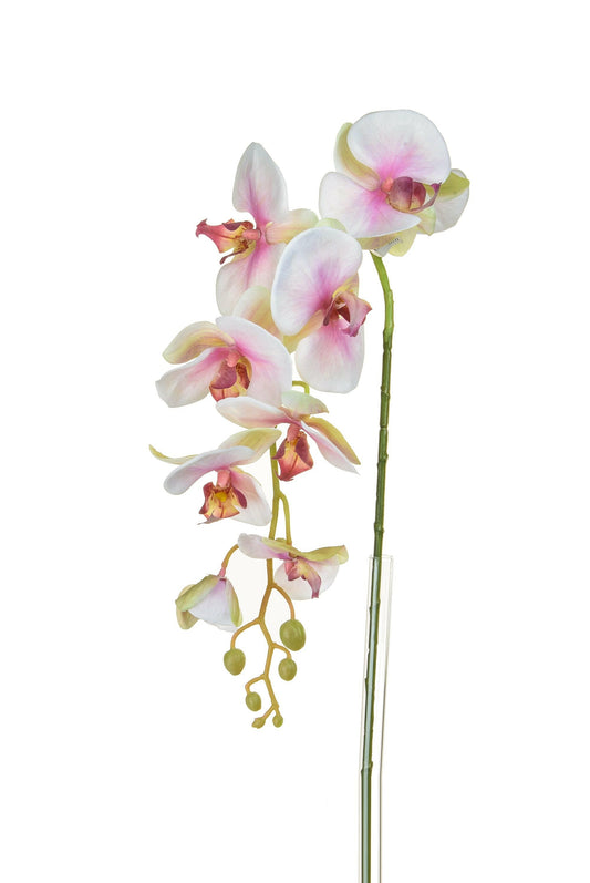 Artificial Silk Phalaenopsis, Medium