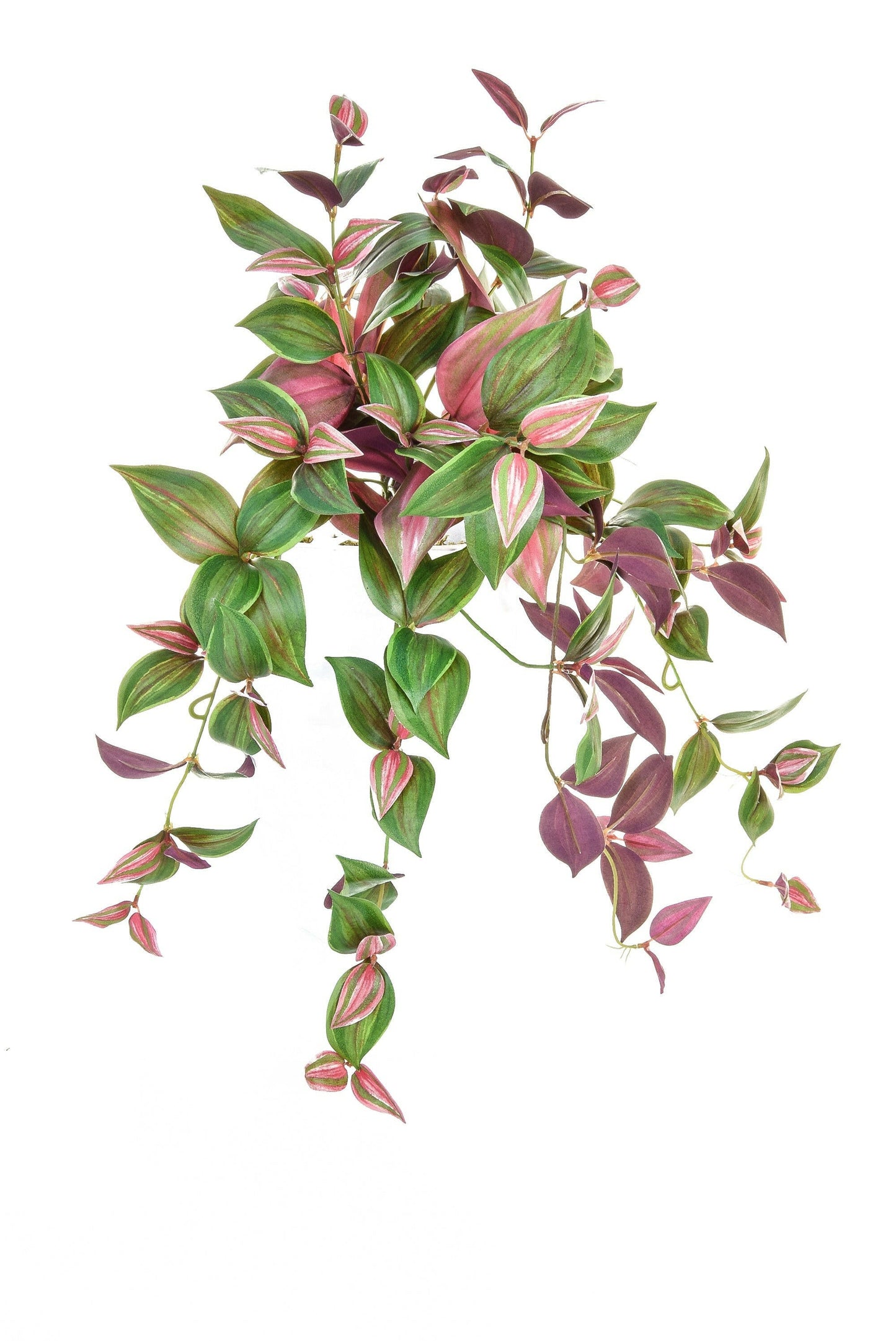 Artificial Silk Tradescantia Trail