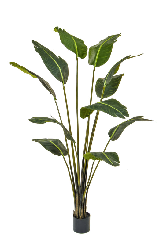 Artificial Silk Bird of Paradise Plant FR