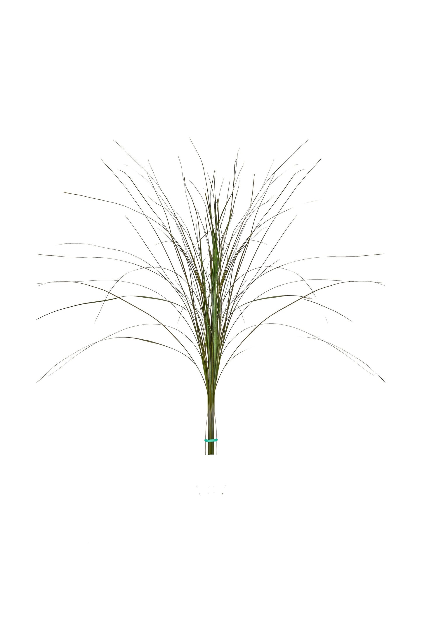 Artificial Bear Grass FR