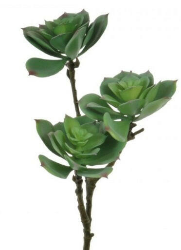 Artificial 3 Headed Black Prince Succulent