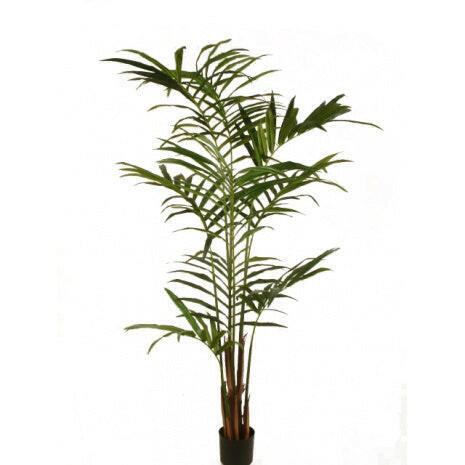 artificial palm plants uk Artificial Silk Kentia Palm Tree – Artificial Plants & Trees Co (UK)