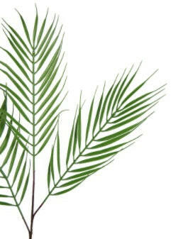 Artificial Palm Grass
