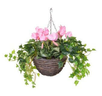 Artificial Silk Cyclamen Mix Small Hanging Basket