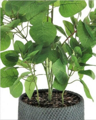 Artificial Potted Apple Leaf In Mesh Pot