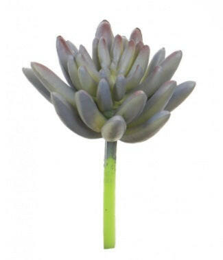 Artificial Agave Succulent Medium