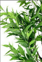 Artificial Silk Citrus Tree