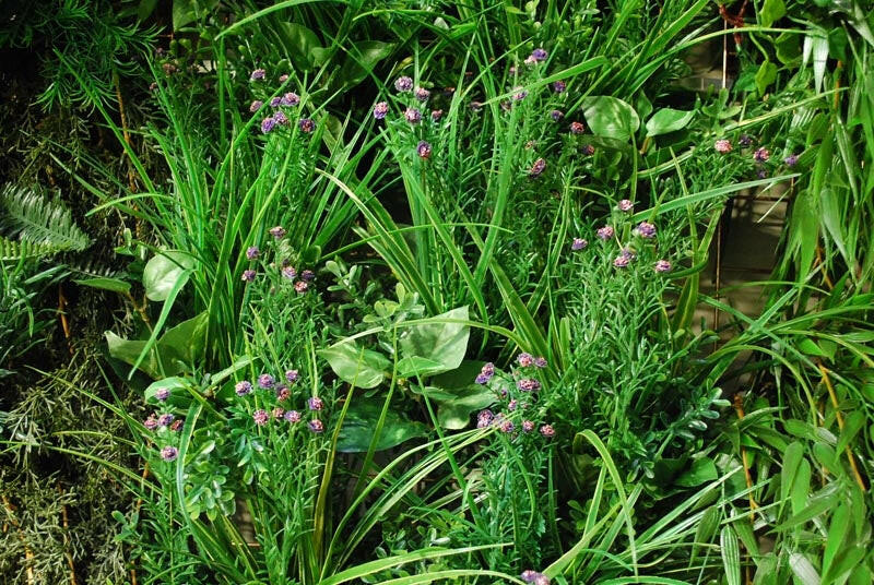 Artificial Green Wall Chatton Mix 100 x 100cm FR UV