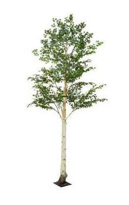 Artificial Silk Birch Tree