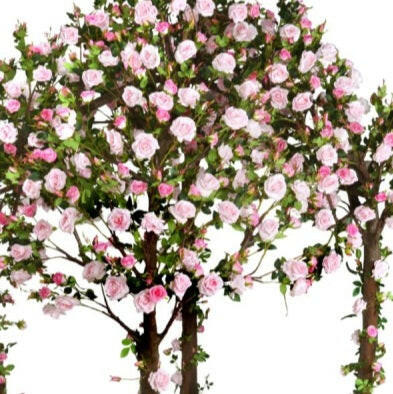 Artificial Silk Rose Pergola