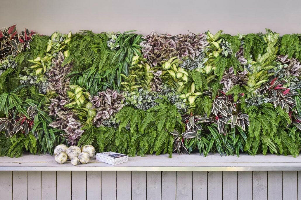 Artificial Flexi Back Green Wall Cheviot 100 x 100cm