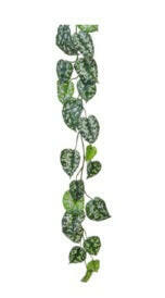 Artificial Scindapsus Garlands FR