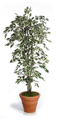 Artificial Silk Fat Ficus Tree UV
