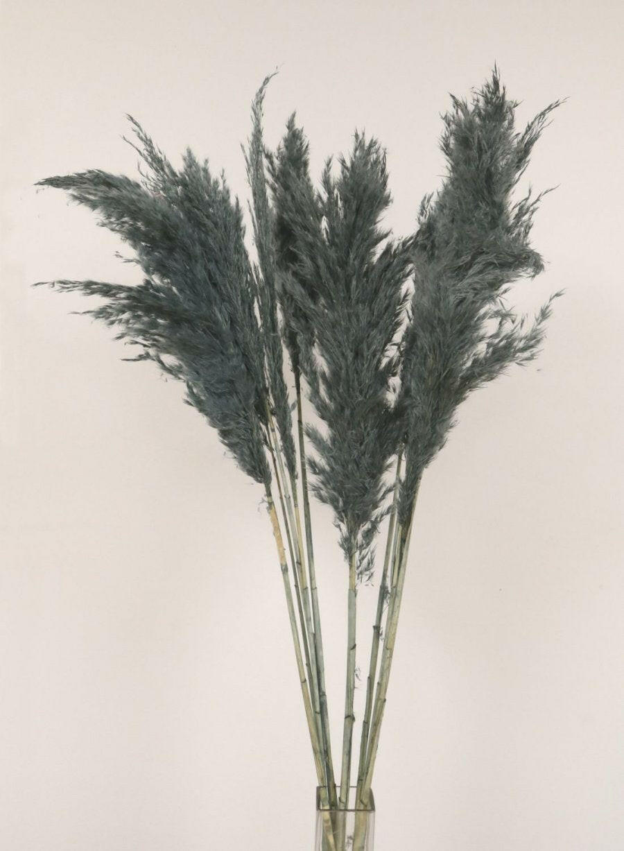 Artificial Dried Extra Fluffy Pampas Bunch