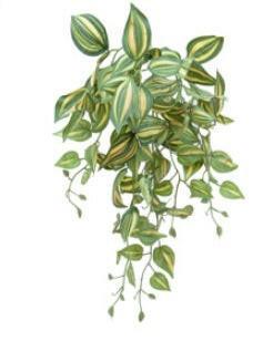 Justartificial Tradescantia Trail FR Green