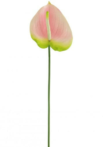 anthurium pink artificial Artificial Anthurium UV – Artificial Plants & Trees Co (UK)