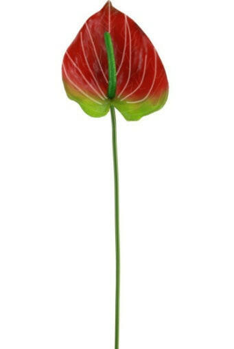 Justartificial Anthurium UV Red