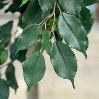 Artificial Ficus 300cm FR Foliage