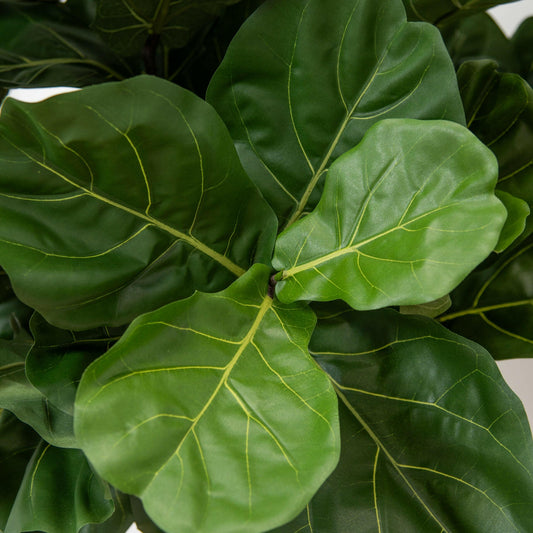 Artificial Silk Fiddle Natural Trunk FR Tree Leave close up