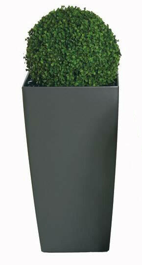 Justartificial.co.uk Seeded Boxwood Ball in planter