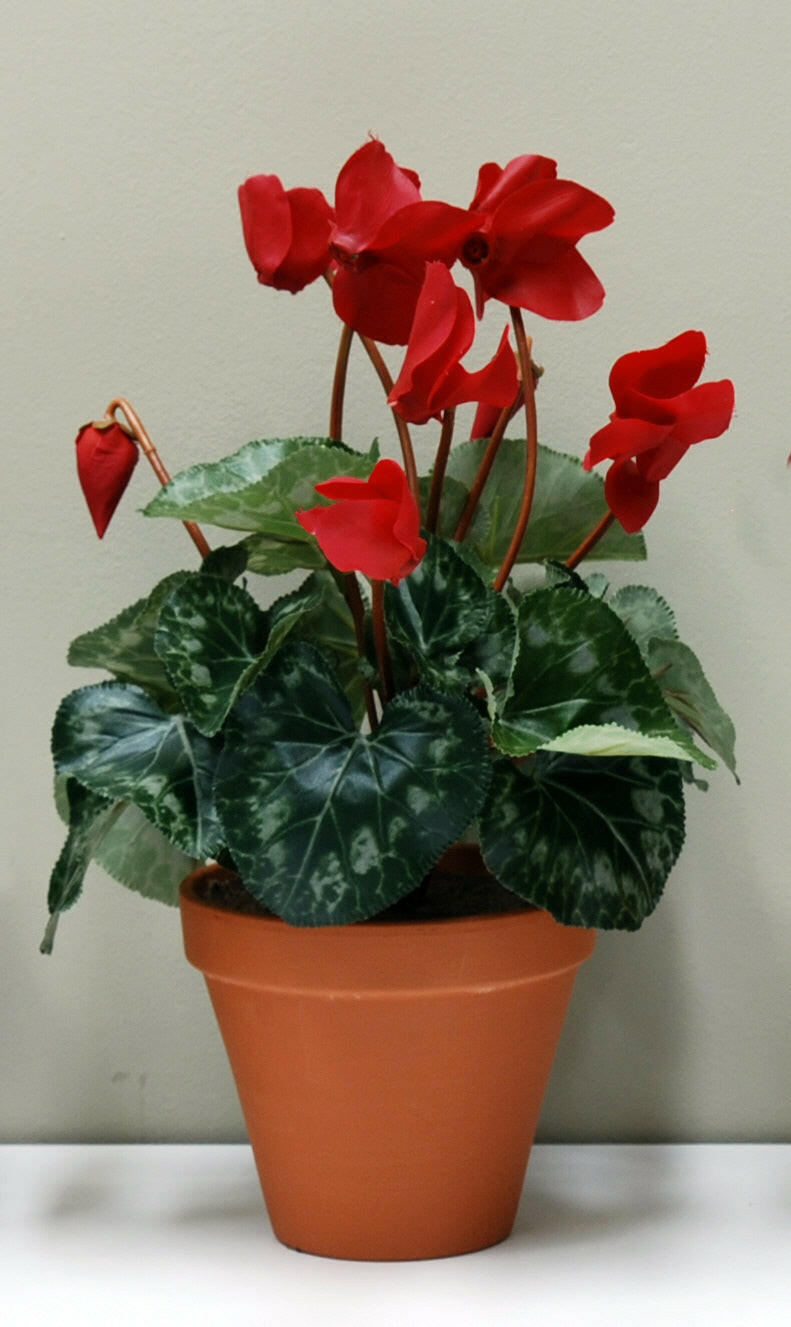 Artificial Silk Cyclamen Bush
