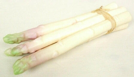 Artificial Asparagus Bundle