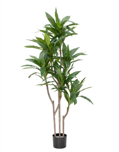 Artificial Silk Cordyline Tree