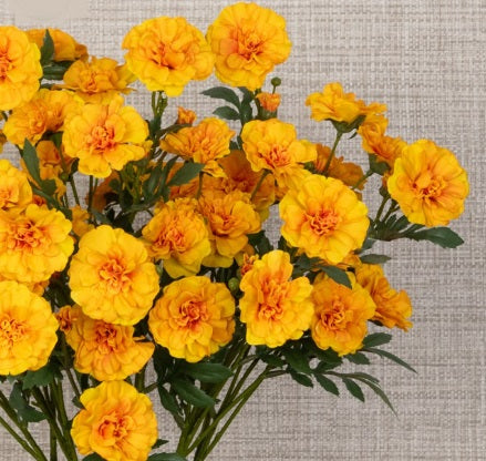Artificial Silk Eco Marigold