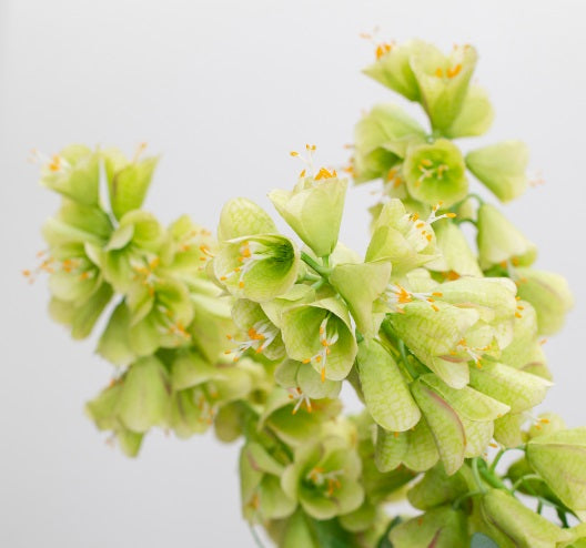 Artificial Silk Fritillaria