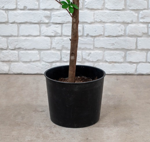 Artificial Silk Japanese Enkianthus Tree