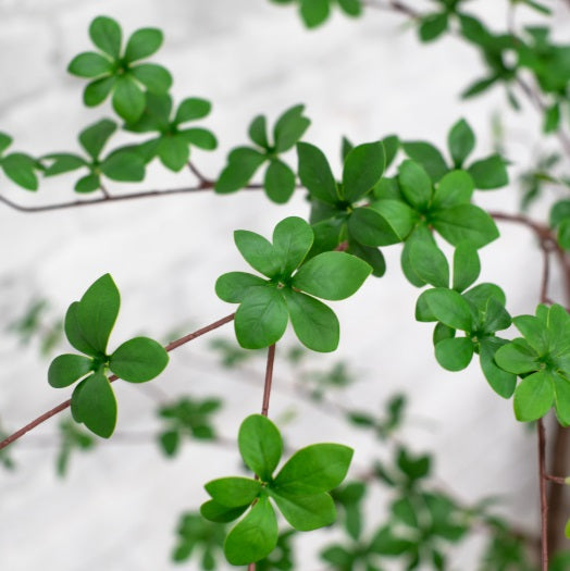 Artificial Silk Japanese Enkianthus Tree