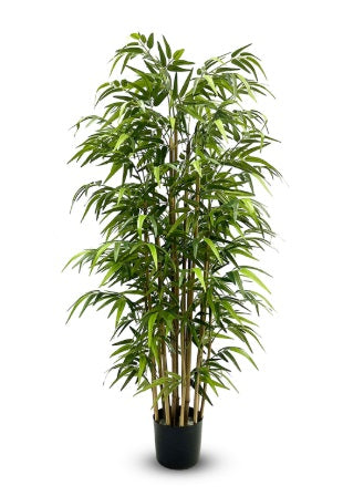 Artificial Silk Bamboo Nitida FR