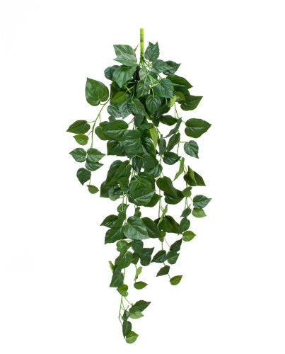 Artificial Silk Pothos Trail FR