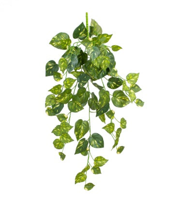 Artificial Silk Pothos Trail FR