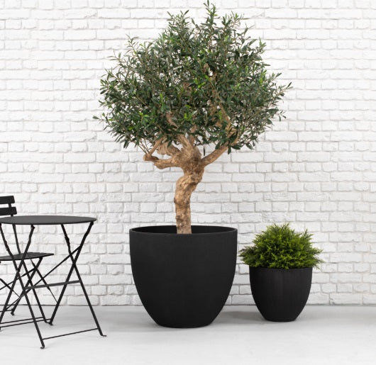 Auckland Collection Planters
